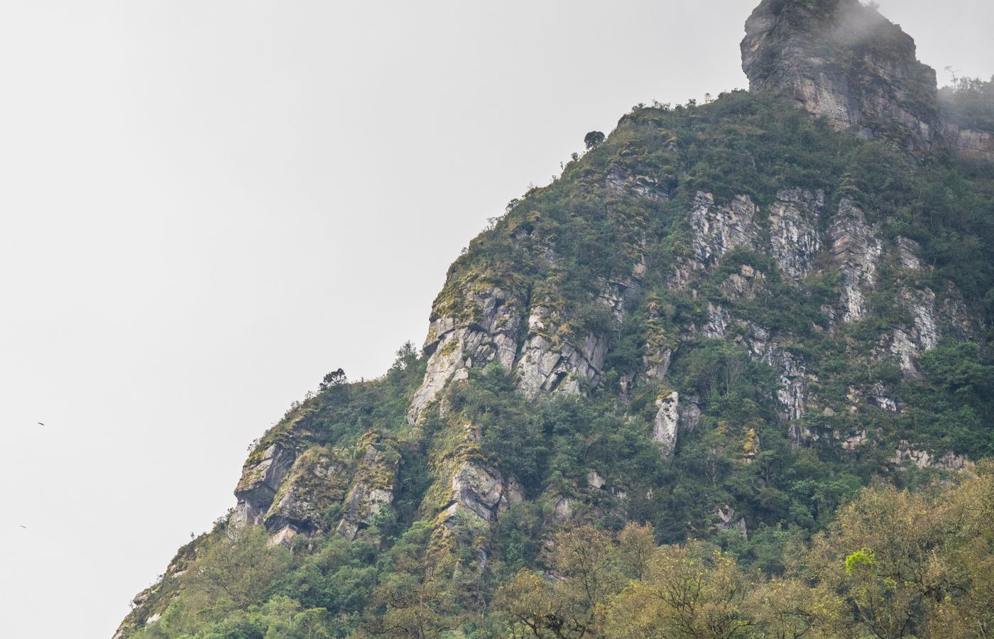 Montaña andina colombiana con afloramientos rocosos y vegetación de niebla.